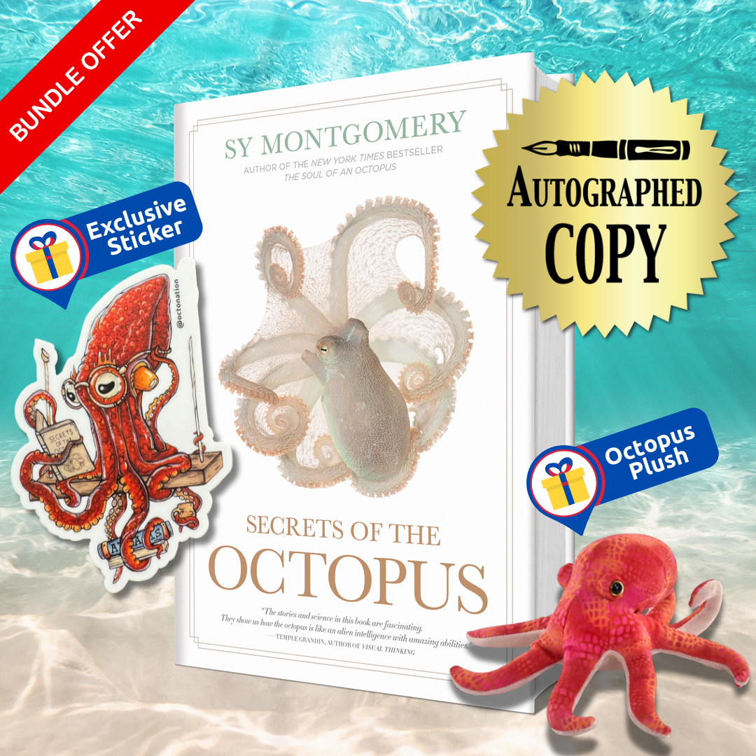 Octopus – From A To B ￼LP Octopus – From A To B ￼LP Octopus - From A To B - Amazon.com Music