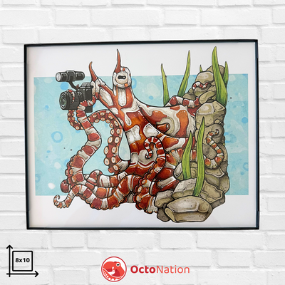 The Octographer – 8x10 unframed art print featuring the rare Wunderpus Octopus (Wunderpus photogenicus) camouflaged against a rocky reef, OctoNation exclusive.